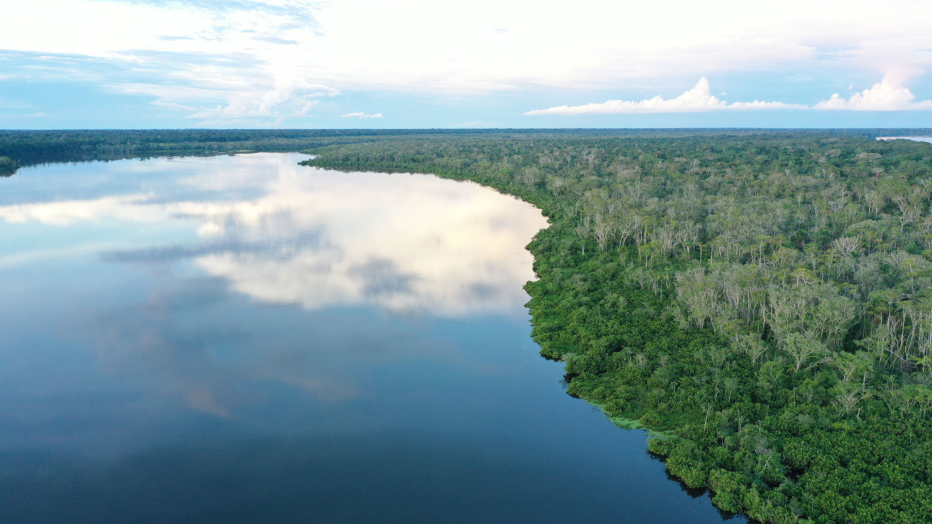 Live Developer - proyectos