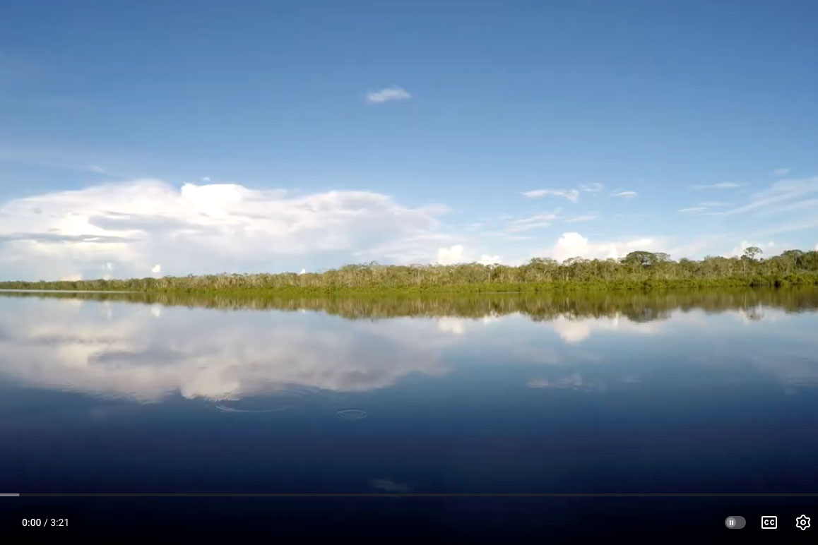 Smart Collect: Gestión Territorial Indígena