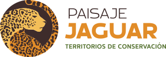 Paisaje Jaguar