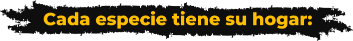 Cada especie tiene su hogar