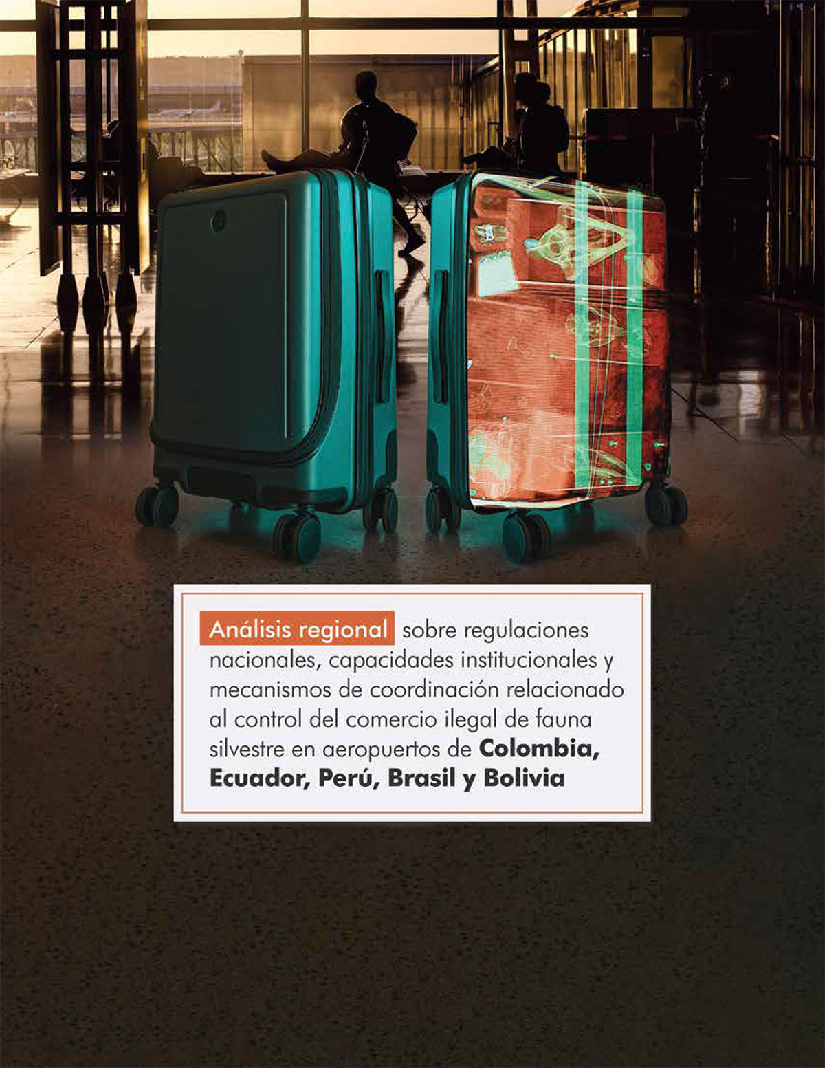 Portada Análisis Regulaciones Aeropuertos