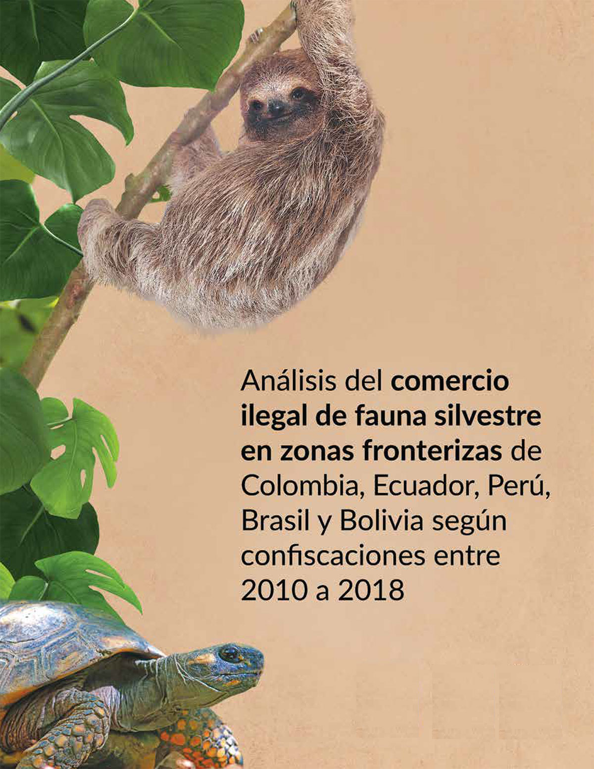 Portada análisis comercio ilegal en zonas de frontera