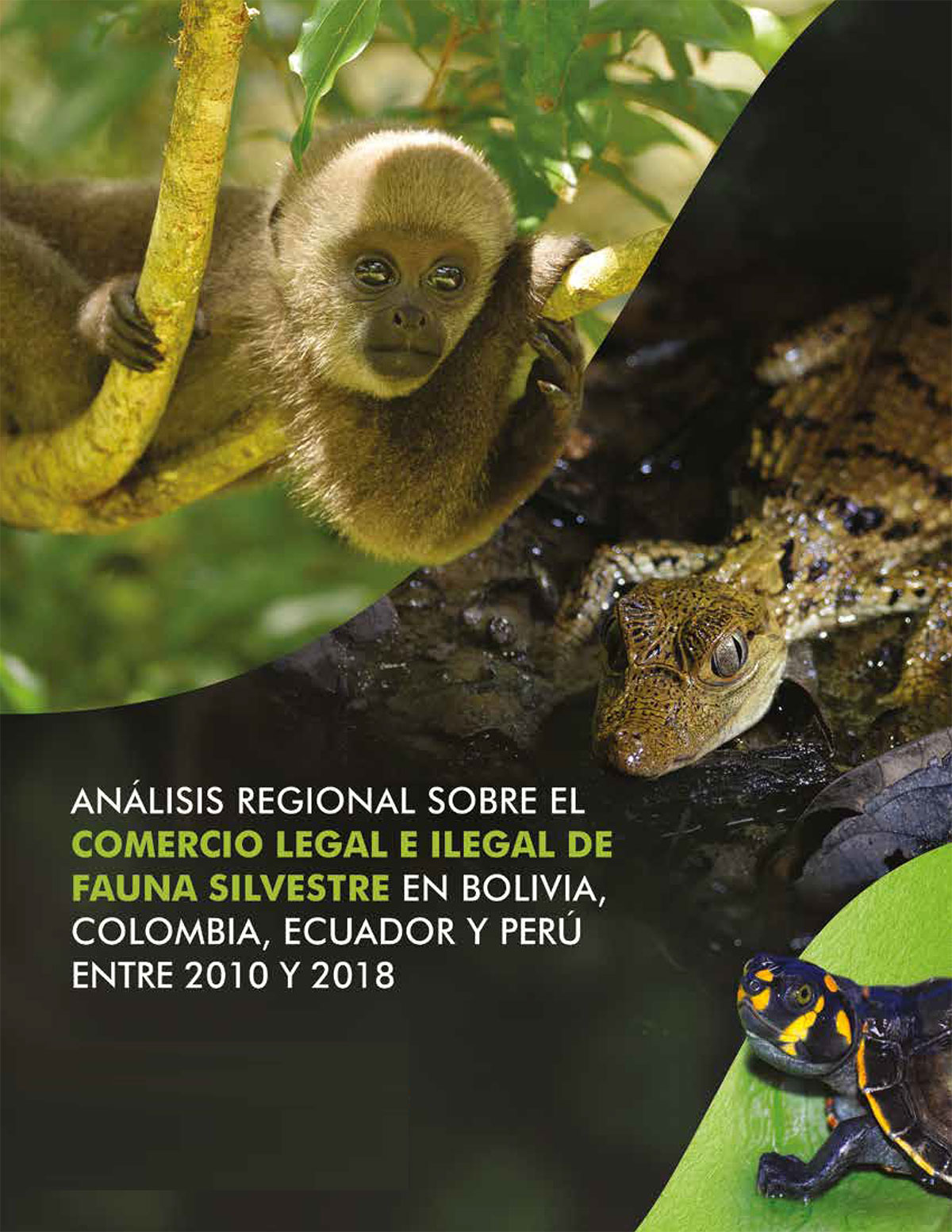 Portada diagnóstico regional 2010-2018