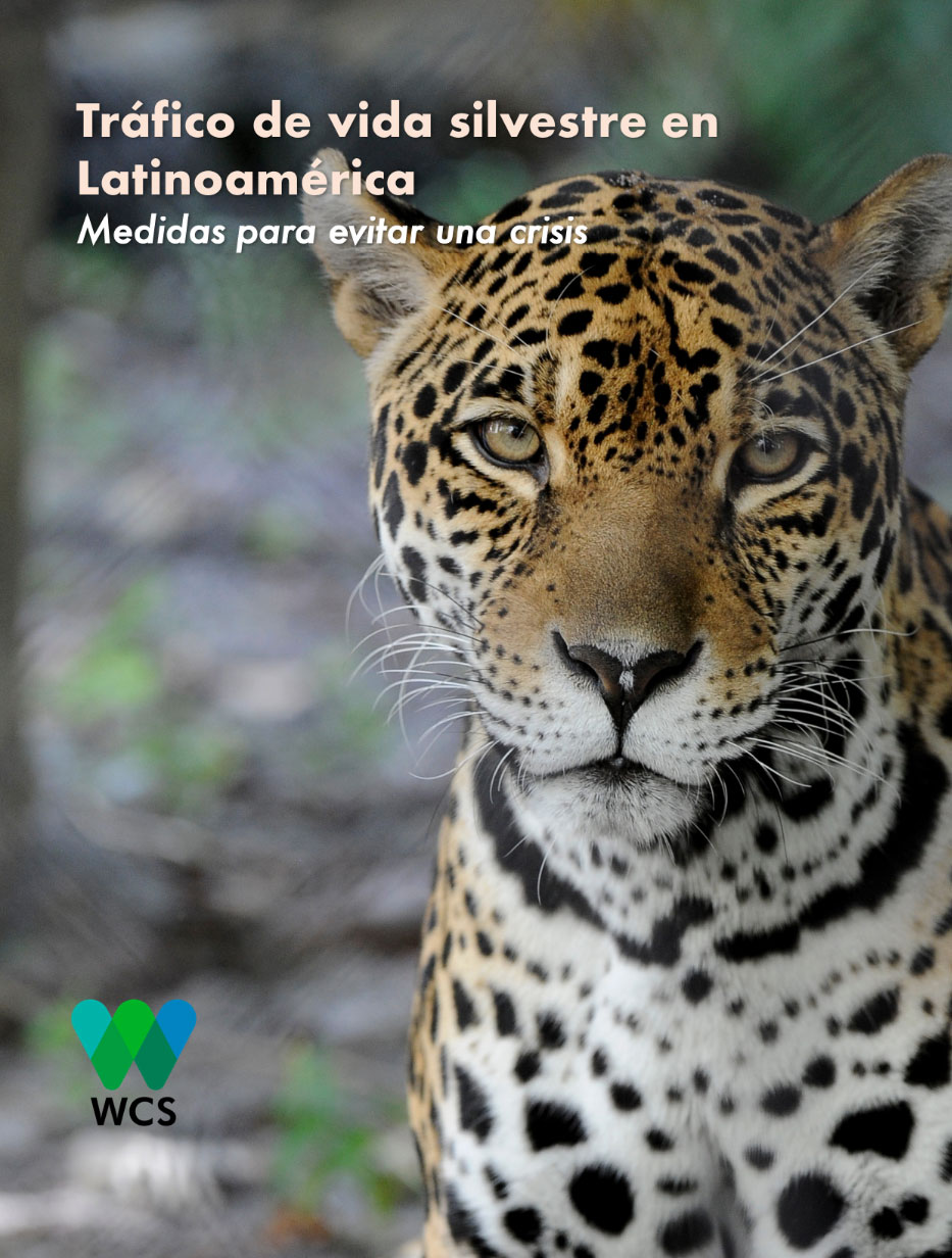 Portada LACP CWT White Paper