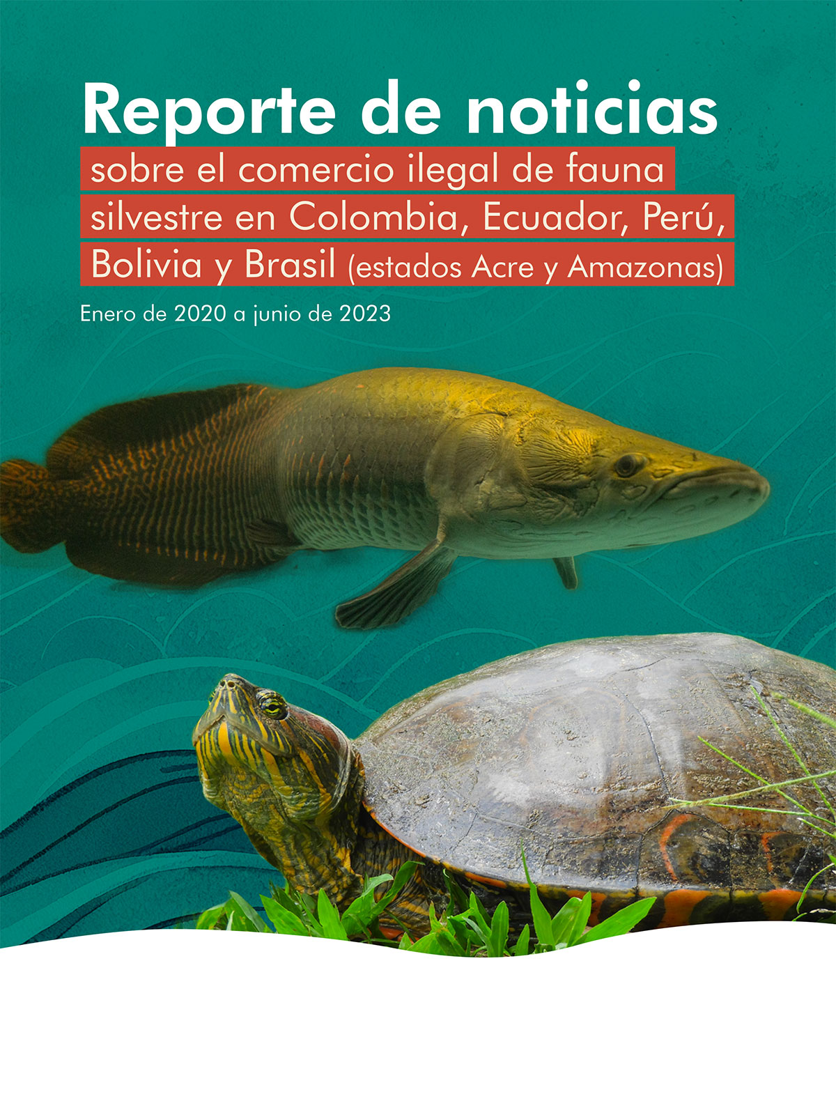 Portada reporte de noticias fauna silvestre 2020-2023